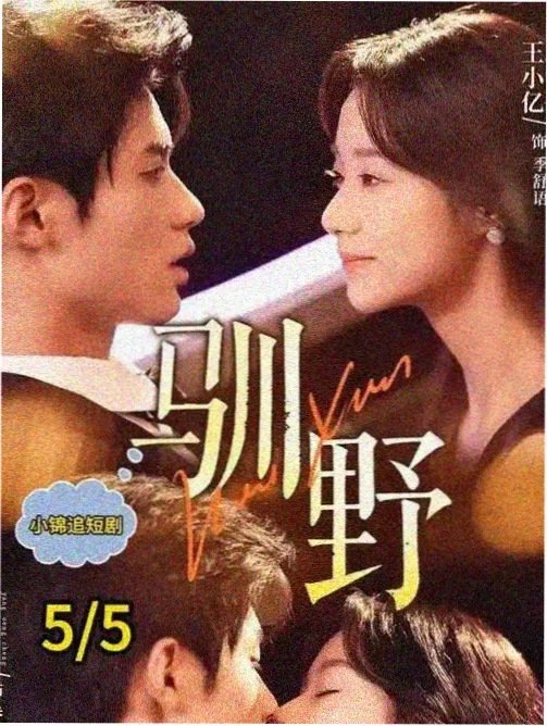海岛诊疗所剧集海报